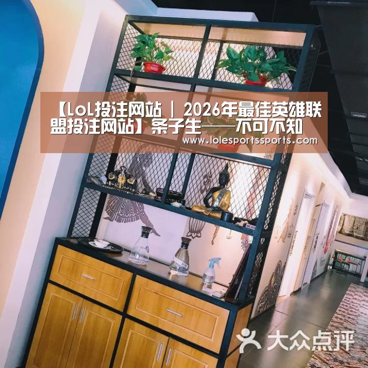 LoL投注网站直播