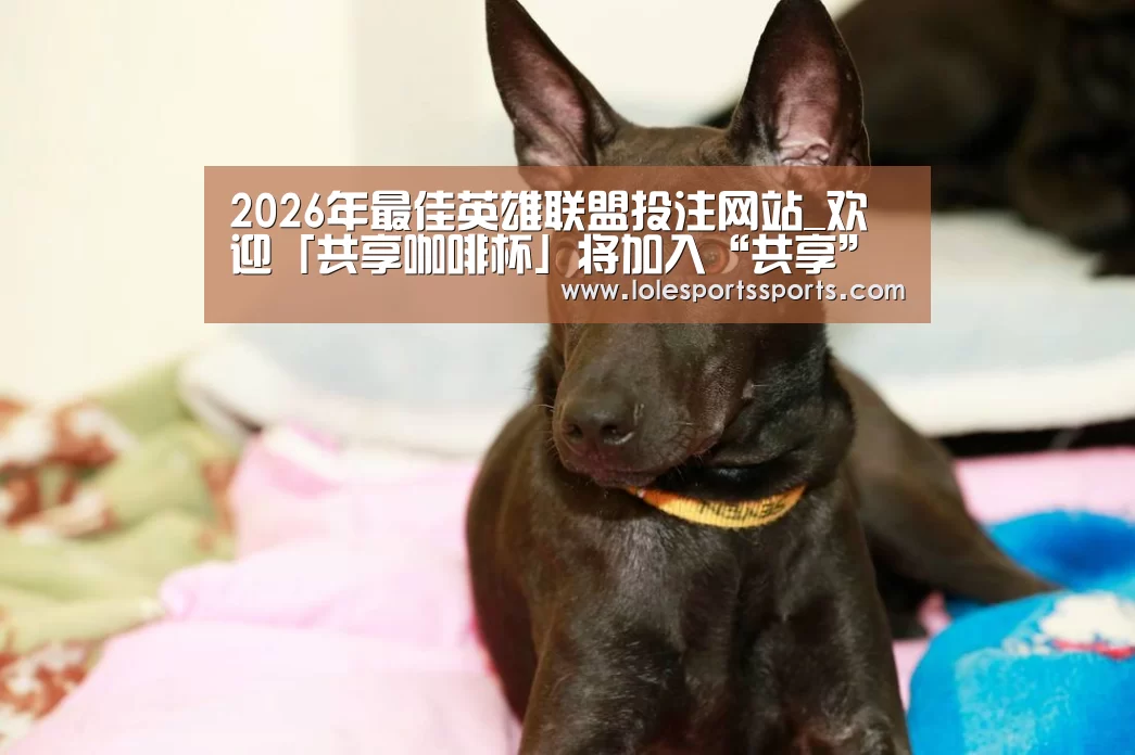 LoL投注网站直播